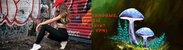 ешки Абаза