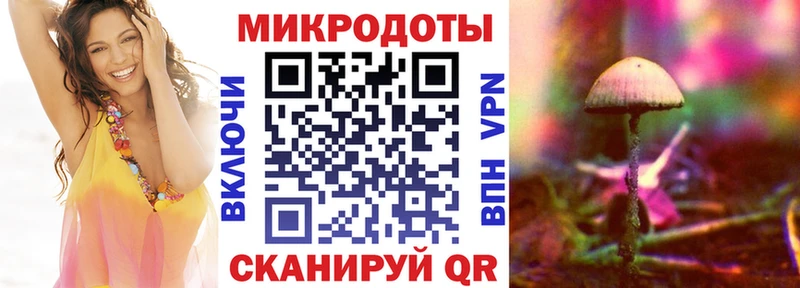 Галлюциногенные грибы MAGIC MUSHROOMS  продажа наркотиков  Калач 